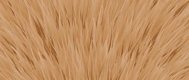 abstract dog fur pattern background. abstract art background vector design with animal skin, dog, cat, lion fur. creative illustration for fabric, prints, cover, wrapping paper, textile, wallpaper.