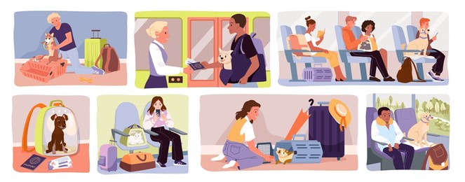 travel with cats and dogs in transport set vector illustration. cartoon scenes in plane and bus, train with people and pets inside plastic carrier boxes, transportation and delivery of animals
