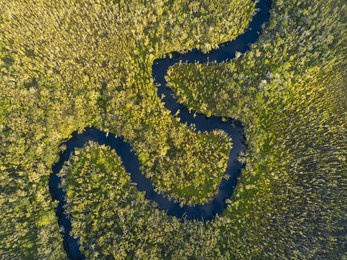 aerial panorama of unique ecosystem of noosa everglades - beautiful curvy noosa river and lush, green wetlands in south east queensland, australia, near sunshine coast and noosa heads