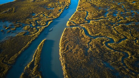 an aerial view of the lush wetlands of the south carolina coast