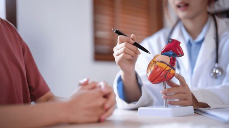 asian cardiologist doctor women explaining about anatomical of human heart model to female patient after examining health while giving counseling about medical and mental health therapy in clinic.