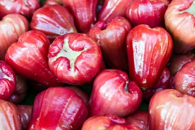 rosoe apple, eugenia javanica, syzygium samarangense, many rosoe apple