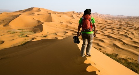 back view of a guide on the top of a dune in the middle of the sahara desert in morocco. one person, landscape