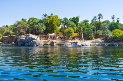 the kitchener's island is also known as the island of plants, it's popular tourist destination in aswan, egypt.