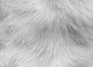 black gray mohair texture background. wool fabric for text design. abstract wallpapers, textile textures and illustrations