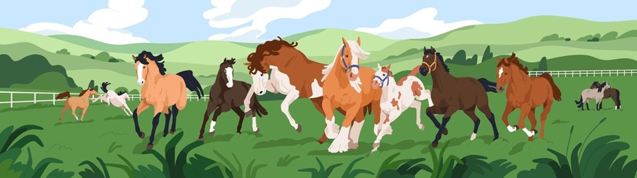 thoroughbred horses herd at equine ranch. stallions group frolicking outdoors at farm. many domestic animals of different breed at countryside, rural landscape panorama. flat vector illustration