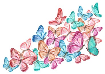 watercolor flying colorful butterflies. isolated fluttering moths on white background