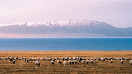 sailimu lake scenery in xinjiang, china