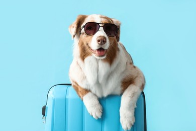 cute australian shepherd dog in sunglasses with suitcase on blue background. travel concept