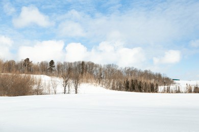 idyllic farmland scenery with trees and field covered in fresh snow seen during an sunny winter morning, st. augustin de desmaures, quebec, canada