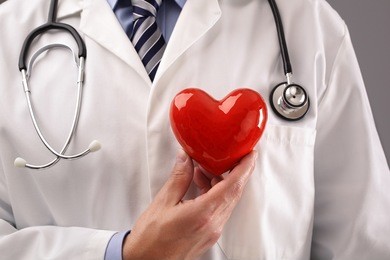 doctor or cardiologist holding heart against chest concept for healthcare and diagnosis medical cardiac pulse test