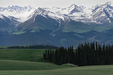 mountain scenery of xinjiang tawusani