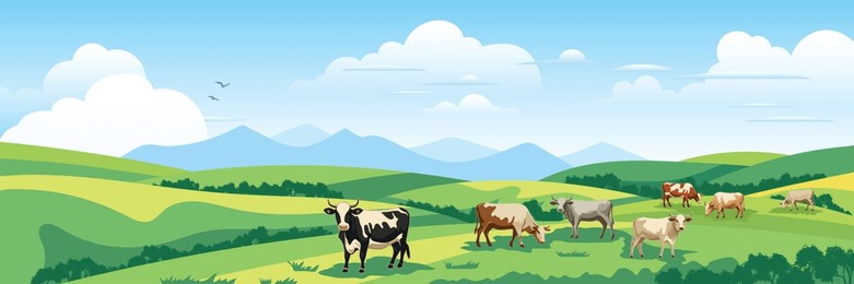 panoramic view of spring landscape, countryside, cows grazing in a green meadow, vector illustration