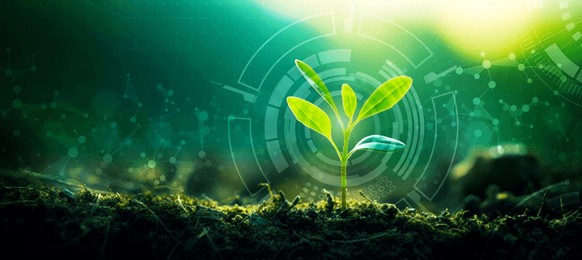 young sprout agricultural technologies, scientific research banner, organic digital background. copy space