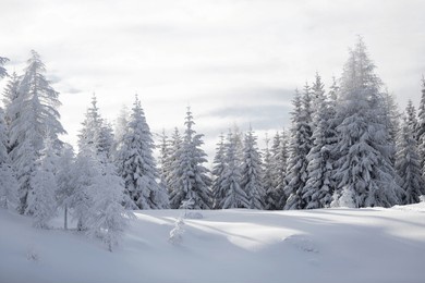 winter in mountains. an amazing winter scenery with a lot of snow