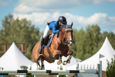 equestrian sports, horse jumping, show jumping, horse riding themed photo
