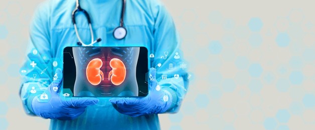color image of the kidneys on an x-ray. the doctor studies and analyzes kidney cysts and the inflamed kidney. isolated doctor with a tablet in a scene with a light gray background