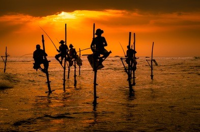 silhouettes of the traditional fishermen at the sunset in sri lanka