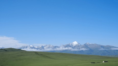 beautiful landscape of green grassland and snow mountain peak surrounded by low misty clouds under blue sky in xinjiang, china, asia. 
