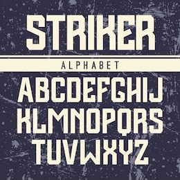 sanserif font in the sport style