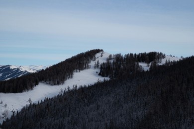 the natural scenery of altay