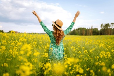 beautiful woman walking in the blooming field at sunny summer day. nature, vacation, relax and lifestyle. summer landscape.