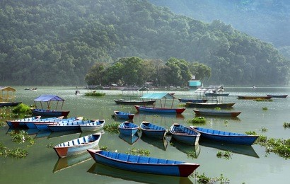 boats parked in the phewa lake of pokhara 