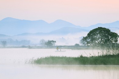 morning view of upo swamp, changnyeong-gun, korea