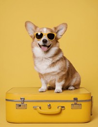 cute corgi dog in sunglasses sitting on a suitcase on a yellow background.