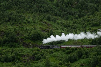black locomotive blows smoke and pulls red wagons through the scottish highlands. fairytale jacobite steam train travels along a green and lush hillside after crossing the famous glenfinnan viaduct.