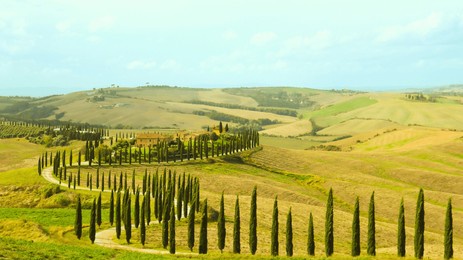 tuscany with its characteristic houses and roads surrounded by cypress trees. italy