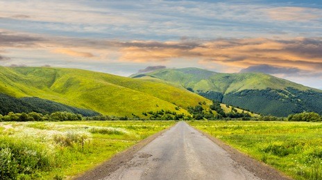 composite landscape with abandoned asphalt road rolls through meadows with flowers going to high  mountains in morning light