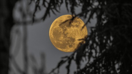 moonlight shot capture in lyon