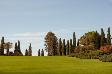 beautiful landscape panorama in the sigurta landscape park, near lake garda in italy. a composition of trees with a perfect lawn.	