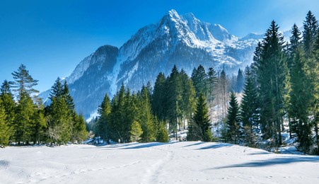 winter landscapes of carpathian mountains , snow fall with blue sky in italy.