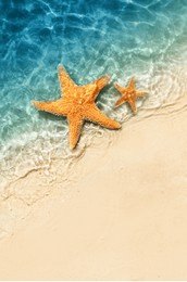 starfish on the summer beach in sea water. summer background. summer time.