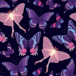 vector pattern with high detailed vivid butterfly