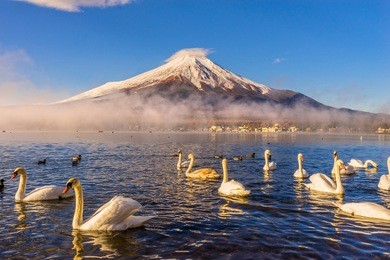 mount fuji reflected in lake yamanaka at dawn, japan.