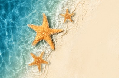 starfish on the summer beach in sea water. summer background. summer time.