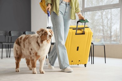 female tourist with suitcase and australian shepherd dog walking at airport