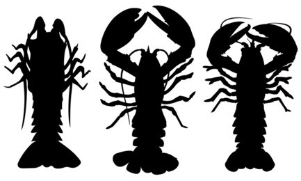 set of different lobsters isolated