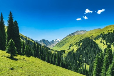 scenery of nalati grassland in the hinterland of tianshan mountains in xinjiang, china