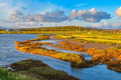 alacati wetlands in spring and windmills on surrounding hills (cesme, izmir province, turkiye)