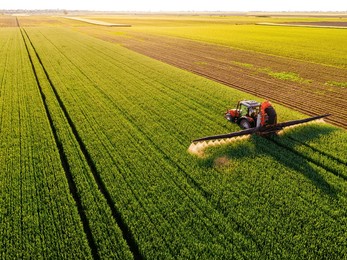 drone shot of a tractor spraying in lush green wheat fields under the bright sun, showcasing modern agriculture