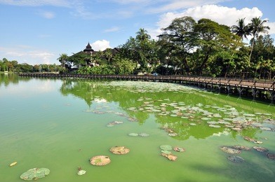 kandawgyi lake and kandawgyi nature park, yangon, myanmar (burma)