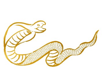 gold brush stroke cobra illustration material
