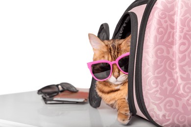 a funny cat with glasses sits in a pet carrier, isolated on a uniform background. traveling with pets.