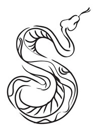 snake, vector drawing, reptile sketch, wildlife, animals