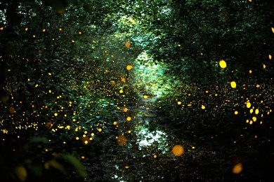 fireflies glow in the forest at night.
