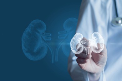 doctor shows kidneys on virtual screen against blue background.